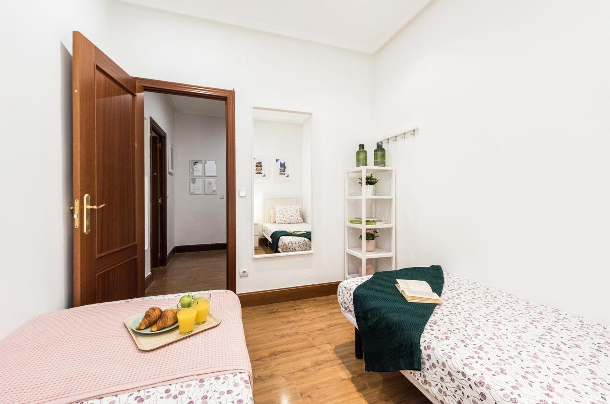 Living Concepción Apartamento Madrid